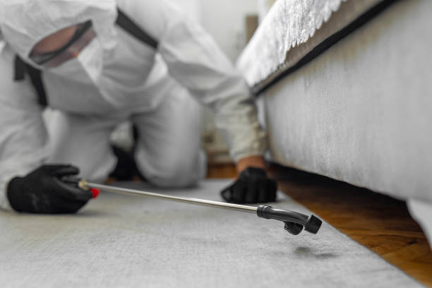 Professional Termite Control technician working in Frazee, MN