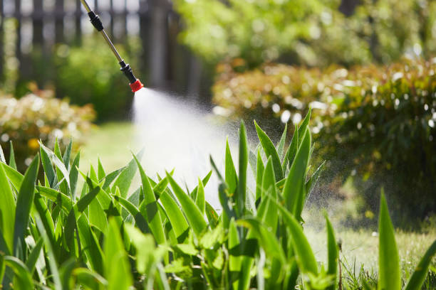 24/7 Emergency Termite Control experts in Frazee, MN