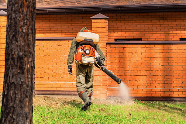 Top rated local Termite Control specialists in Frazee, MN